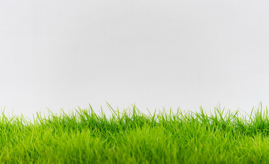 Fototapeta na wymiar Green grass and white wall, abstract texture background.