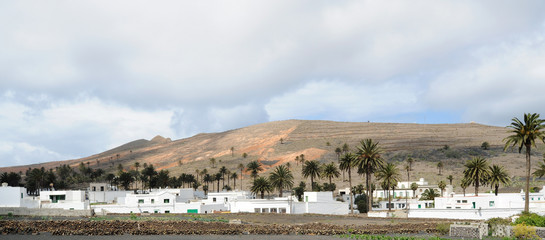 Fototapeta na wymiar La vallée des 1000 palmiers à Haría à Lanzarote