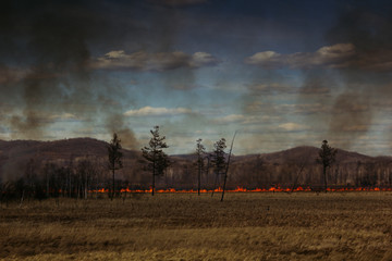 Fototapeta na wymiar The fire in the field. Fire line. Disaster. Landscape.