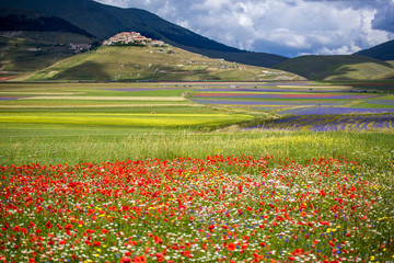 Castelluccio di Norcia, Umbria, Italy. The Village of Castelluccio and Pian Grande during the season of 