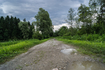 Feldweg nach dem Regen