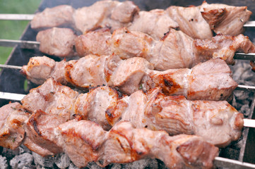 Barbecue Beef Kebabs On The Hot Grill In Nature Outdoor