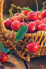 Fresh sweet cherries in a basket