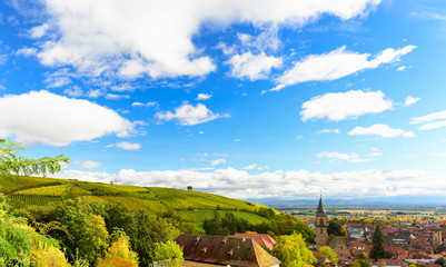 Widok na górskie winnice, położone nad Ribeauvillé w Alzacji. - obrazy, fototapety, plakaty