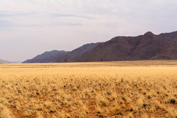 Scenery on the travel from "namib naukluft park" to "tiras mount