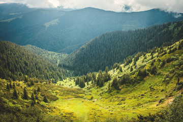 Amazing Green Carpathian Hills