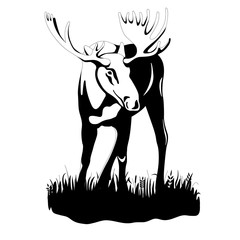 Naklejka premium adult moose black silhouette vector illustration