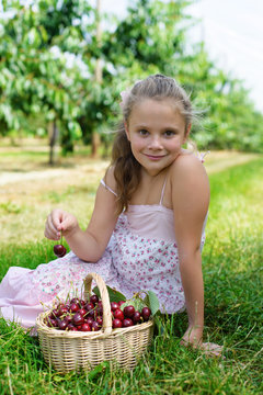 Smiling girl holding  fresh picked cherry in hand in cherry garden