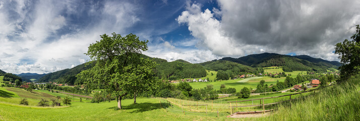 Obraz premium Panoramalandschaft im Gutachtal, Schwarzwald 