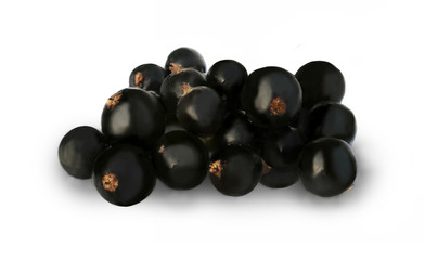 shiny ripe black currant on a white background