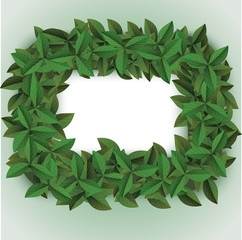 Fototapeta premium green big leaves frame