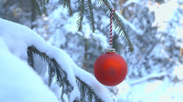 Making the Christmas Tree
