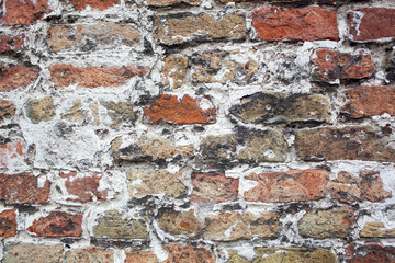 brick wall texture