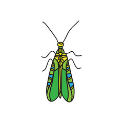 vector color beetle