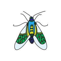 vector color beetle