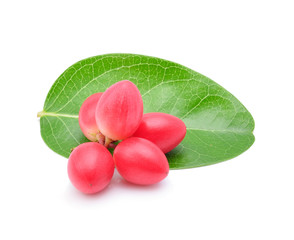 Carunda or Karonda on white background