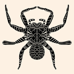 Spider with abstract pattern.