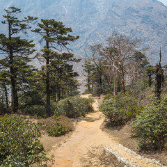 Fototapeta na wymiar The trail in the Himalayas