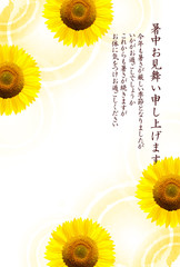 Fototapeta premium ひまわり 夏 暑中見舞い 背景