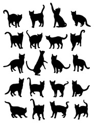 Cat Silhouettes, art vector design