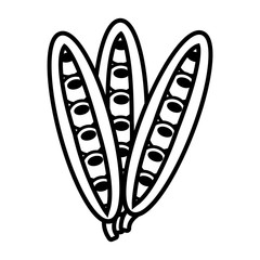 white and black  common beans front view over isolated background,vector illustration