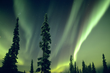 USA, Fairbanks area, Central Alaska, Aurora Borealis, Northern Lights, major solar flare event, October, 28, 29 of 2003.