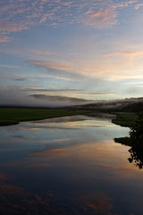 Fototapeta na wymiar couleurs matinale au lever du jour sur les marais de Kaw en Guyane française