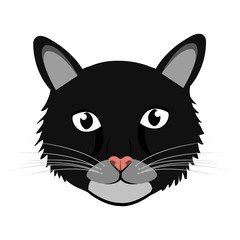 colorful avatar cat animation front view over isolated background,vecor illustration