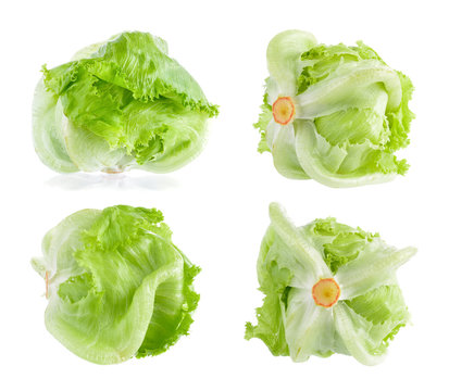 fresh green lettuce  isolated on white background