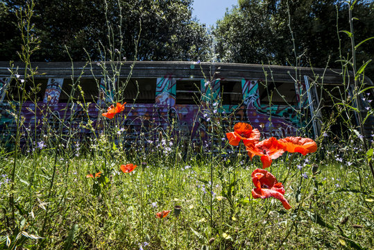 Il tram abbandonato