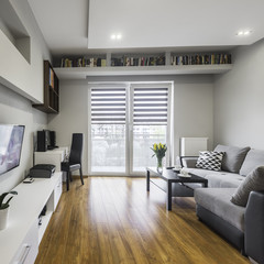 Stylish and modern apartment