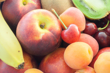 composition of fruit