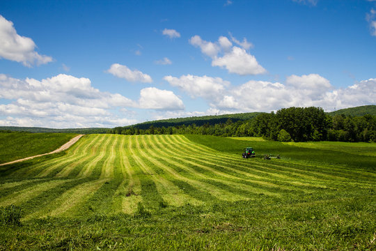 freshly cut hay field