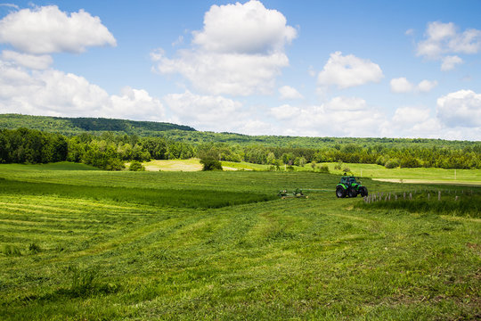 Tractor Cutting Hay Field