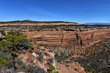 Colorado National Monument - Upper Ute Canyon