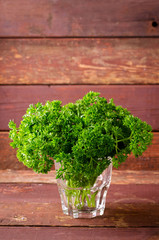 Fresh organic green curly parsley in a glass