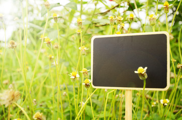 Blank wooden board signs on small flowers background with warm light.