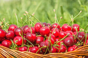 sweet red cherry background