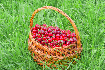Fototapeta na wymiar sweet red cherry background