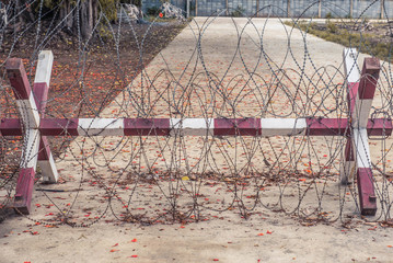Steel of razor barbed wire