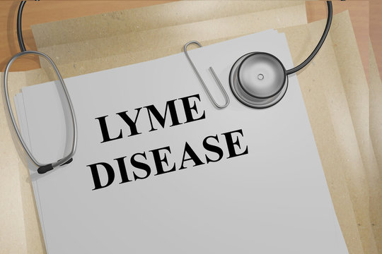 Lyme Disease Medical Concept