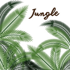 jungle leaves pattern isolated icon design, vector illustration  graphic 