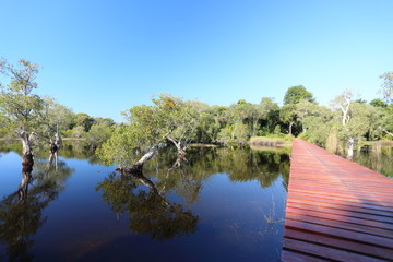 Obraz premium red wood bridge reflection water