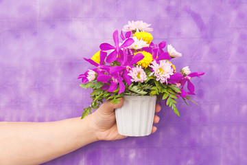 Hand holding bouquet of chrysanthemum and orchid flowers isolate