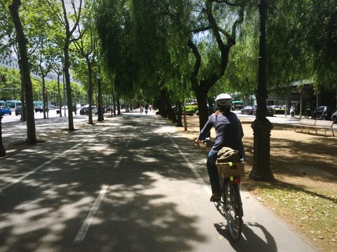 Carril bici