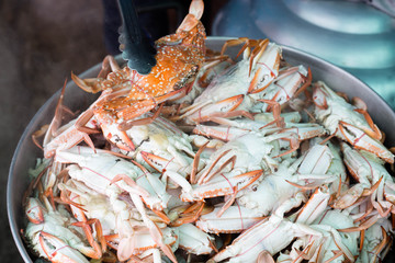 Sea food. steaming crabs.