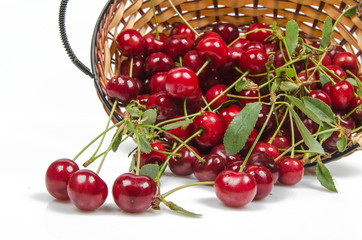 cherry in basket