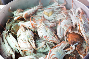 Sea food. steaming crabs.