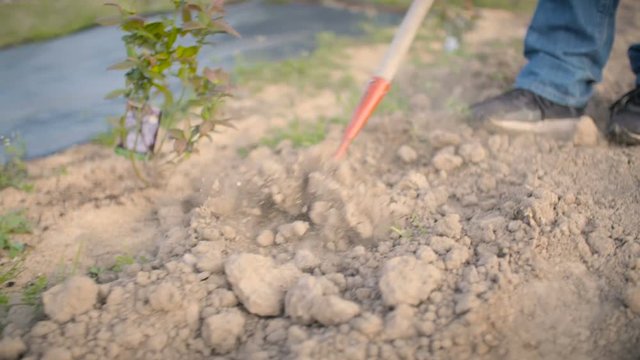 Farmer Using Hoe On Dirt At Farm