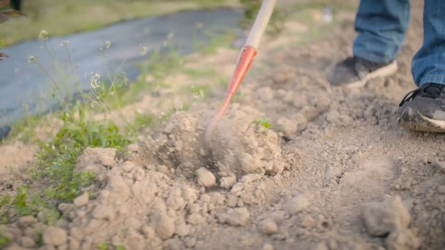 Farmer Using Hoe On Dirt At Farm